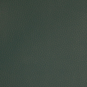 Zoom 1 72026