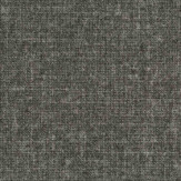 Zoom 1 81373