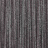 Zoom 1 81421