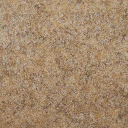 Zoom 1 81453
