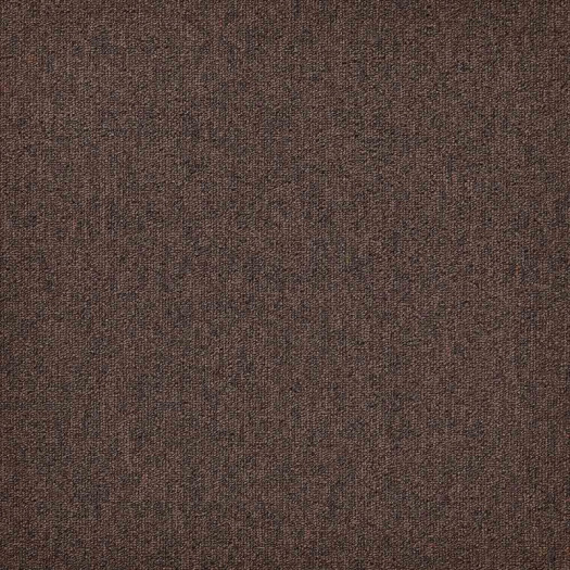 Zoom 1 81675