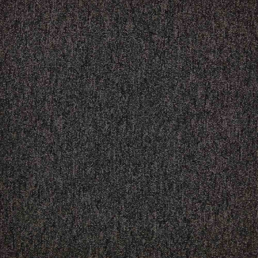 Zoom 1 81685