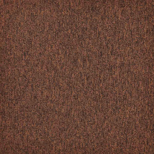 Zoom 1 81690
