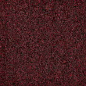 Zoom 1 81697