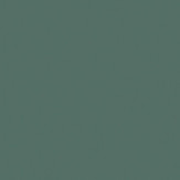Zoom 2 82445
