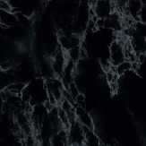 Zoom 2 82487