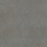 Zoom 1 82983