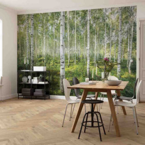 Ambiance 1 85056