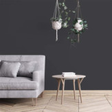 Ambiance 2 84566