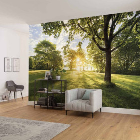 Ambiance 1 85055