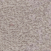 Zoom 1 55794