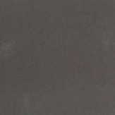 Zoom 1 62284