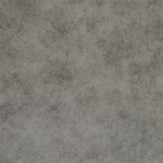 Zoom 1 66218