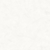 Zoom 1 72938