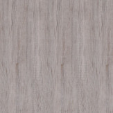 Zoom 1 75507