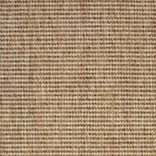 Zoom 1 75572