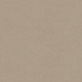 Zoom 1 78810