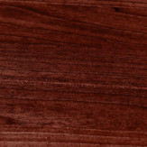 Zoom 1 79403
