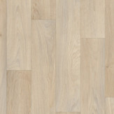 Zoom 1 79504