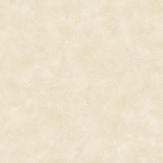Zoom 1 79578