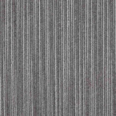 Zoom 1 81420