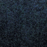 Zoom 1 81454