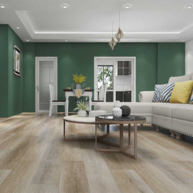 Ambiance 1 81604