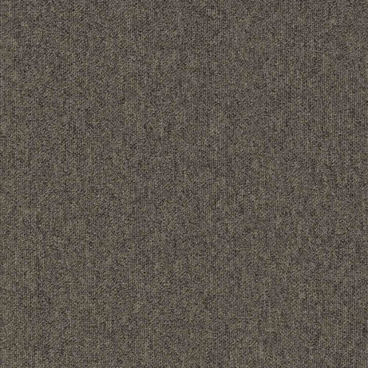 Zoom 1 81640