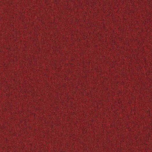 Zoom 1 81661