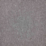 Zoom 1 81683