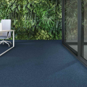 Ambiance 2 81700