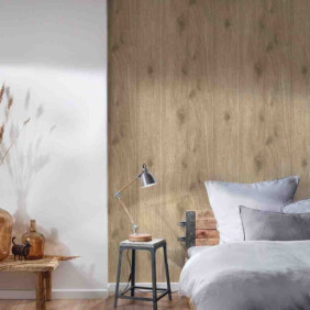 Ambiance 1 86324
