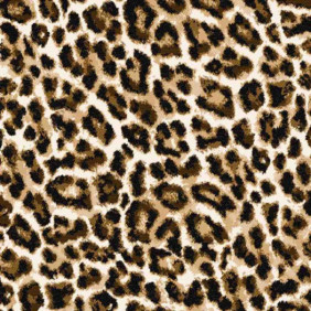 Zoom 1 85826