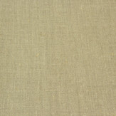 Zoom 1 37846