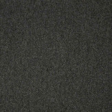 Zoom 1 53609