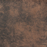 Zoom 1 59264