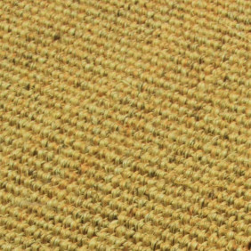 Zoom 1 60595