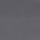 Zoom 1 64646