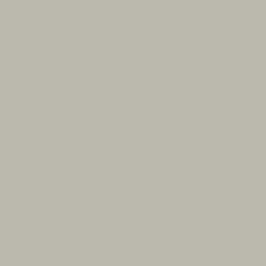 Zoom 1 65639