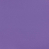 Zoom 1 65675