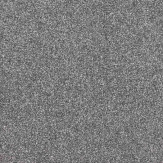 Zoom 1 66283