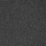 Zoom 1 66717
