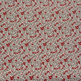 Zoom 1 67459