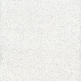 Zoom 1 71351