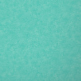 Zoom 1 71555