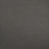 Zoom 1 72023
