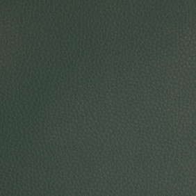 Zoom 1 72026