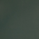 Zoom 1 72026
