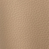 Zoom 1 74448