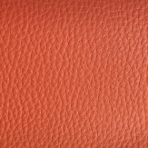 Zoom 1 74450